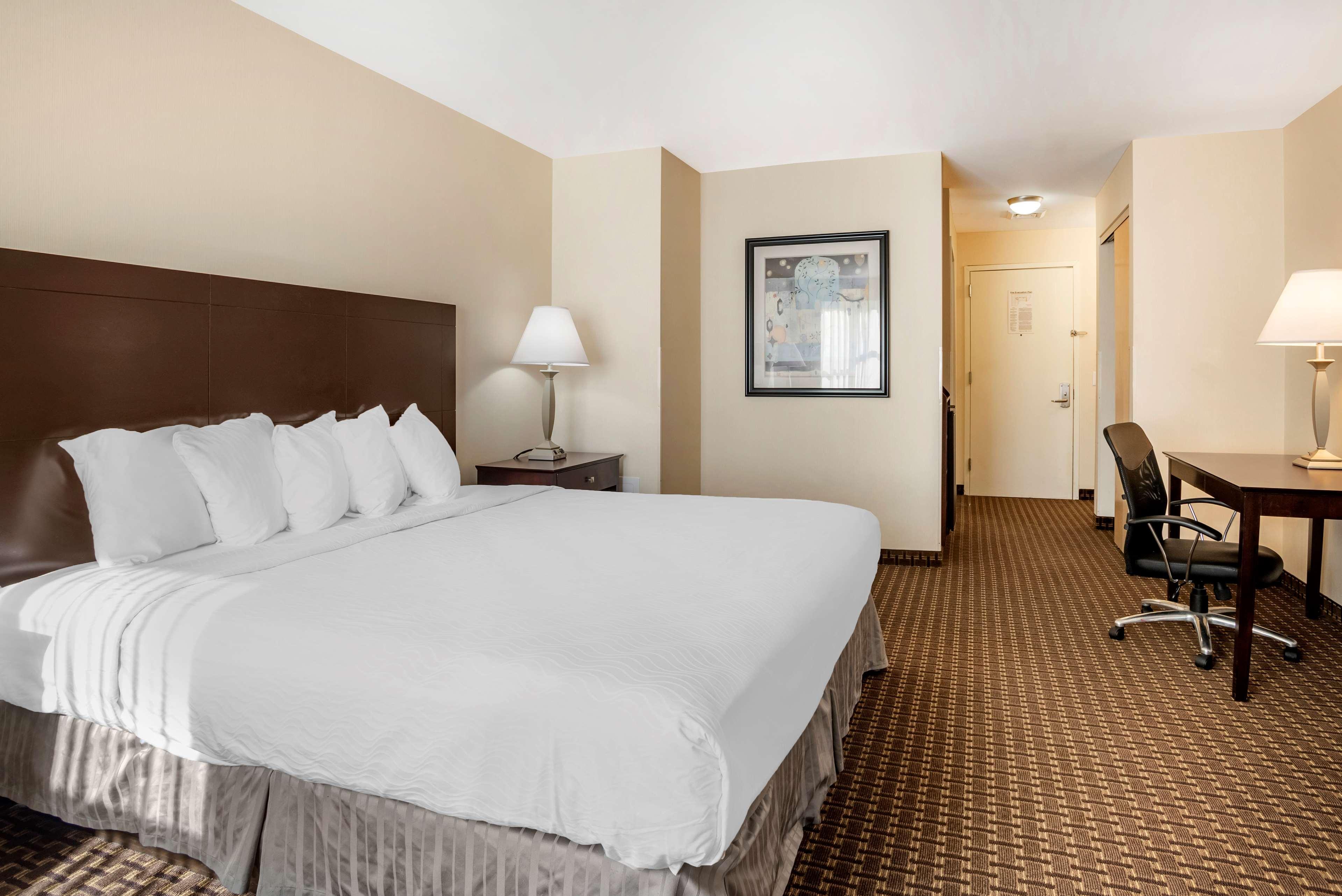 Best Western Plus Philadelphia Airport South - At Widener University Chester Dış mekan fotoğraf