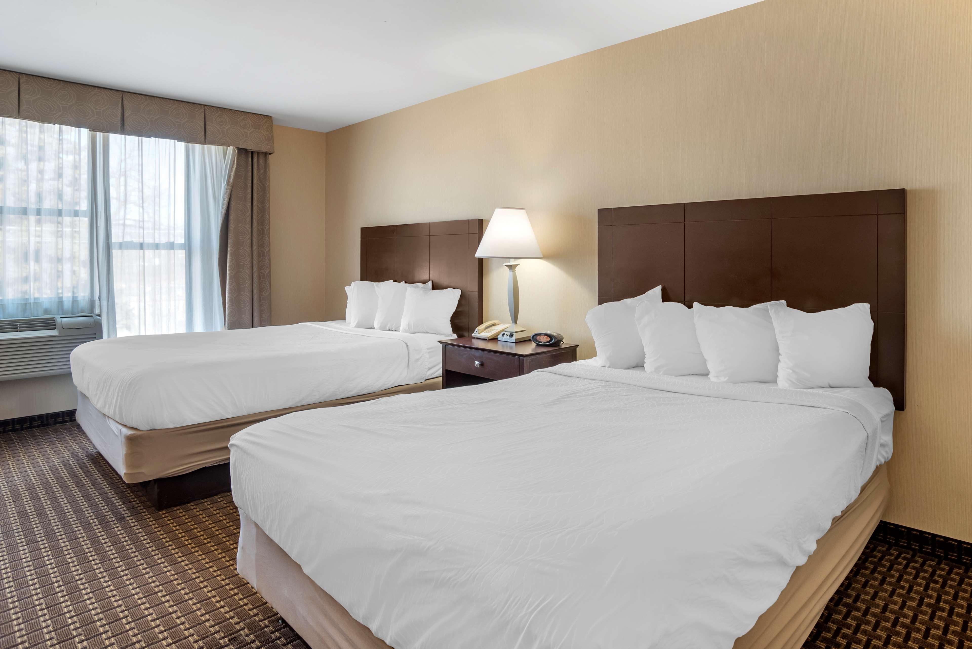 Best Western Plus Philadelphia Airport South - At Widener University Chester Dış mekan fotoğraf